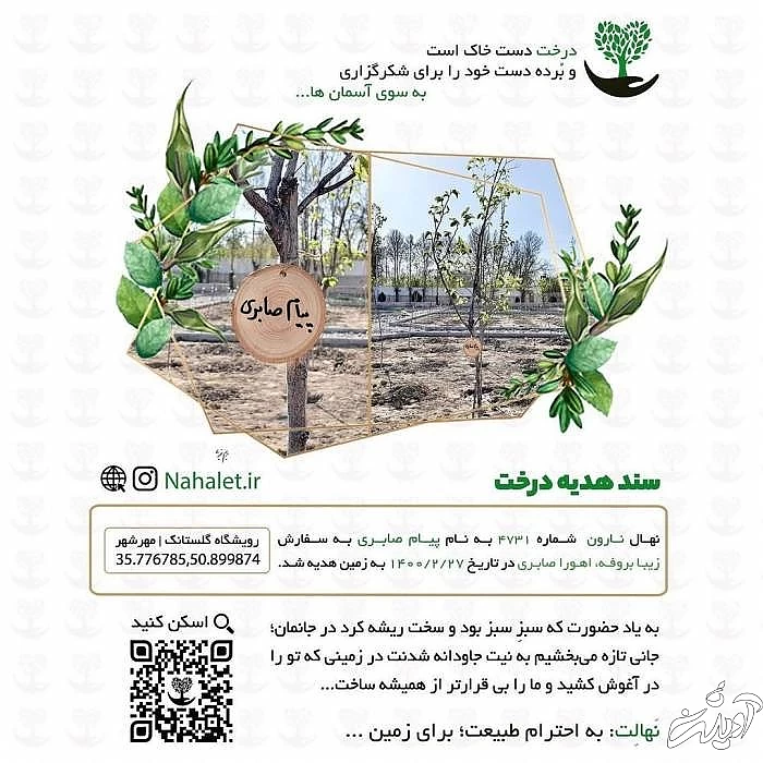 هدیه زیبا بروفه برای تولد پیام صابری هدیه زیبا بروفه